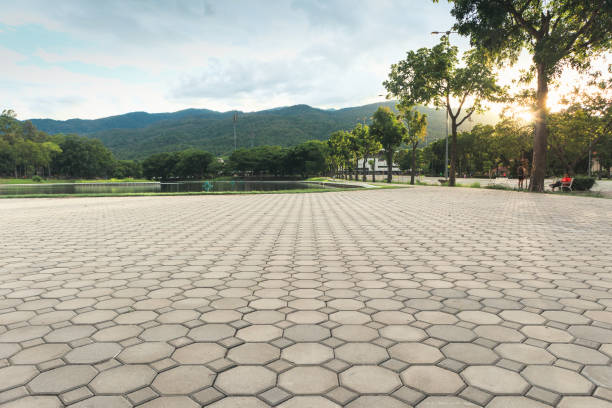 Best Driveway Pavers for Homes  in Murphys Estates, SC